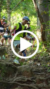 BIB:  <button type="button" onclick="openModal(27640563)" class="btn btn-primary btn-sm float-right" data-toggle="modal" data-target=".modal-high-quality">
                <i class="fa fa-download"></i> Download
                </button>